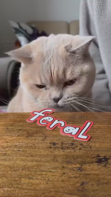 Vinyl Sticker - FERAL